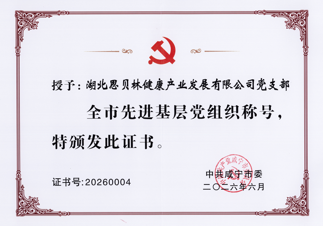 2026全市先进基层党组织