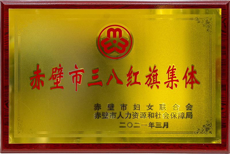 赤壁市三八红旗集体