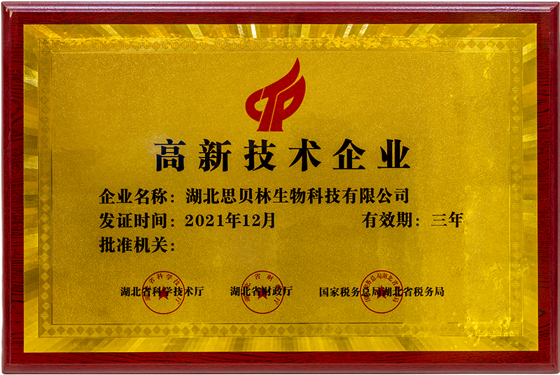 高新技术企业