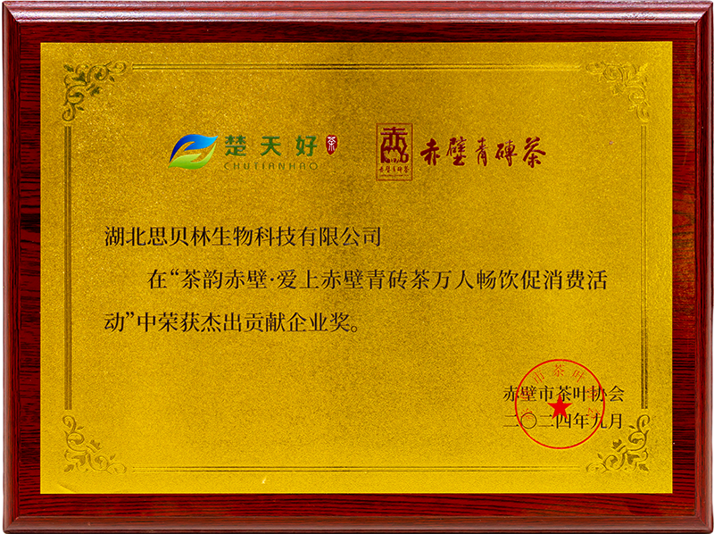 杰出贡献企业奖