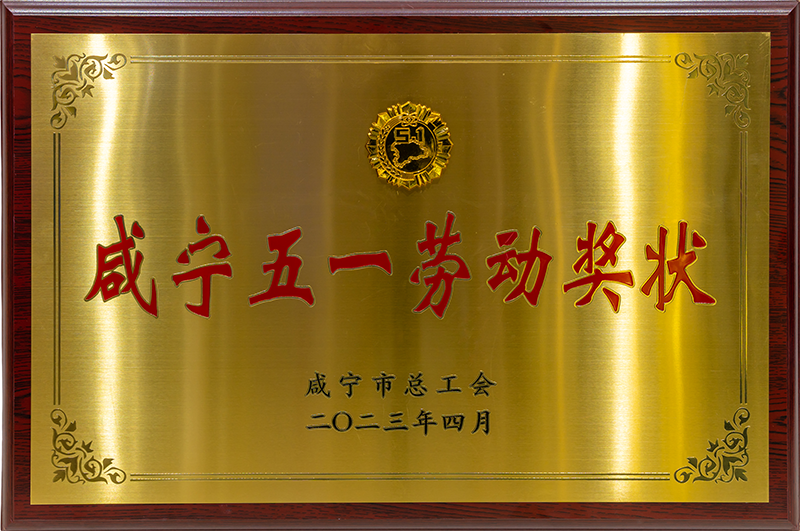 咸宁五一劳动奖状