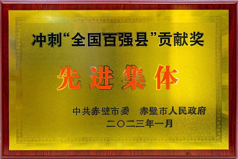 冲刺“百强县”贡献奖先进集体