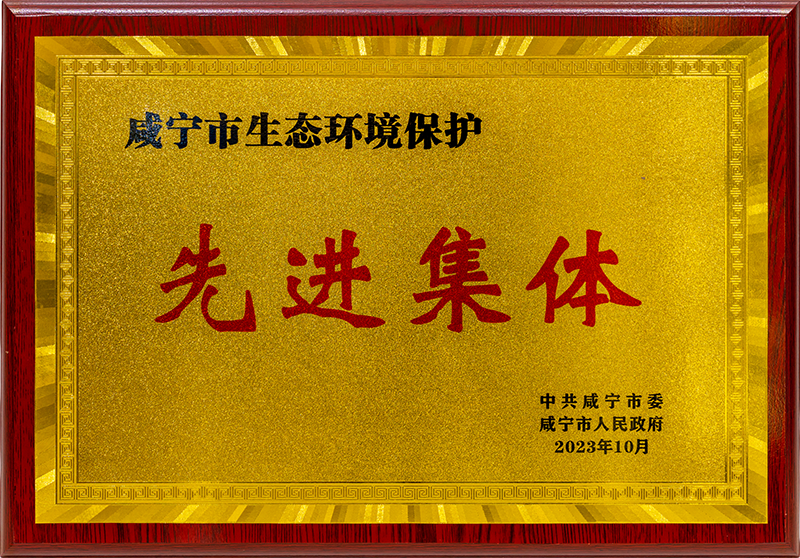 咸宁市生态环境保护先进集体
