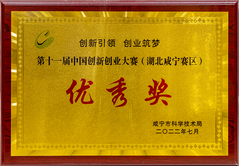 第十一届中国创新创业大赛-优秀奖