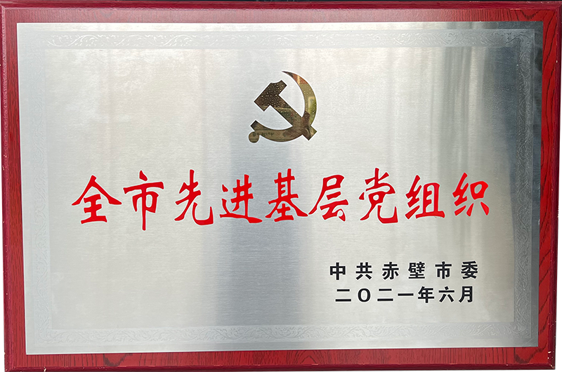 全市先进基层党组织